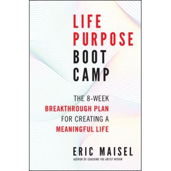 Life Purpose Boot Camp: The 8-Week Breakthrough Plan for Creating a Meaningful L - Picture 1 of 1
